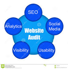 website audit